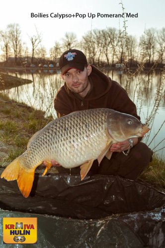 13kg, boilies Calypso, pop up Pomeranč/Med