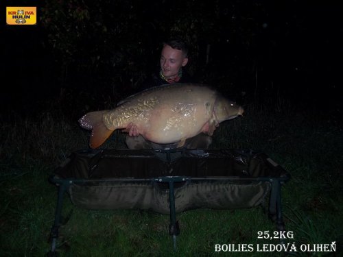 25,2kg, boilies ledová oliheň, svazová voda