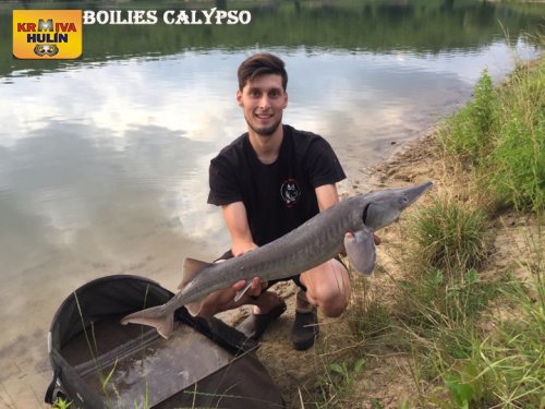 Boilies calypso 