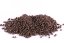 Plovoucí krmivo - PRE GROWER 15 EF - Coppens - Ø 2 mm (Coppens, PKPG2-1) | Krmiva Hulín