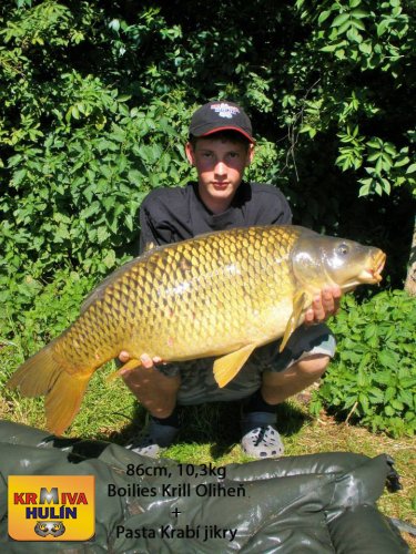 86cm, 10,3kg, Boilies Krill/Oliheň, obalovací těsto Krabí jikry, svazová voda