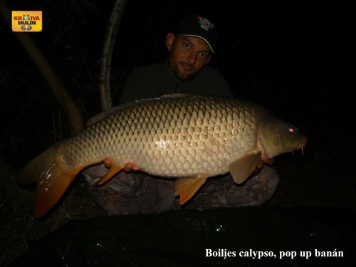 10kg, boilies calypso, pop up banán/meruňka, svazová pískovna
