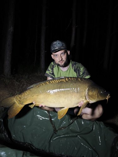 Boilies Pikantní perník