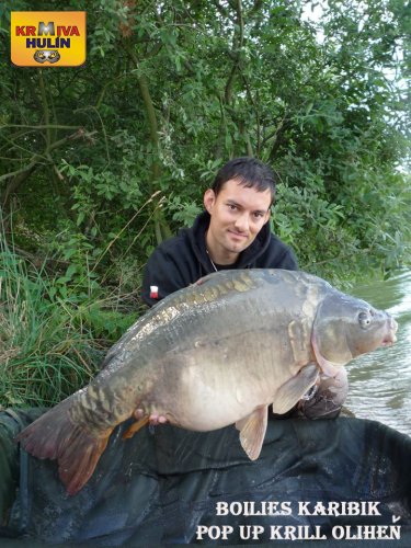 14,7kg, boilies Karibik, pop up Krill/Oliheň