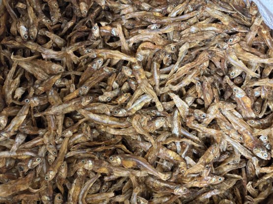 Sušené Malé rybičky - Šproty - pro psy, kočky a ryby - Vyberte balení: 100 g