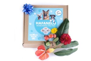 BONBONIÉRA PRO PSÍ KLUKY - HAFANELO - Obalované Dortíčky 16 ks - 500 g (Krmiva Hulín, BHK-1) | Krmiva Hulín