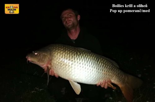 14kg, boilies krill/oliheň, pop up pomeranč/med