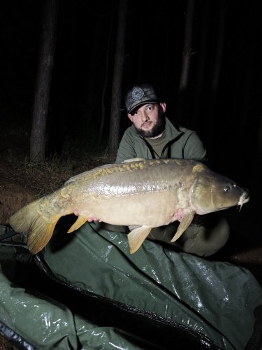 Boilies Pikantní perník