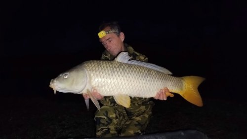 Boilies Pikantní perník