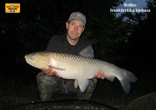 Boilies frankfurtská klobása