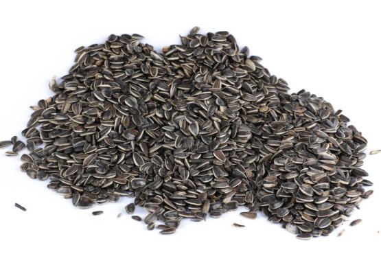 SLUNEČNICE ŽÍHANÁ VELKÁ - pro ptactvo (SLŽV-1) | Krmiva Hulín