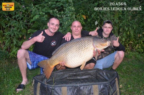 20,45kg, boilies ledová oliheň