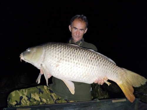 Boilies Pikantní perník