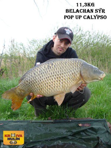 11,3kg, boilies Belachan/Sýr v dipu, pop up Calypso, svazová voda