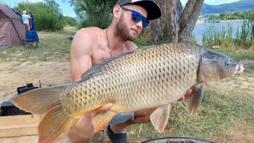 Chytací peleta Krill a Oliheň