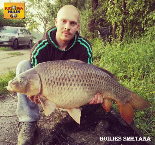 Boilies Smetana
