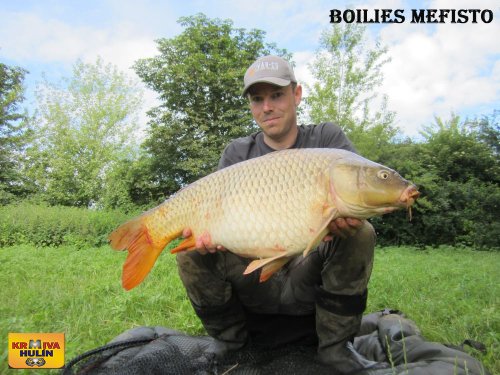 Boilies Mefisto