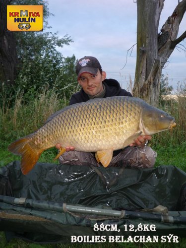 88cm, 12,8kg, boilies Belachan/Sýr, svazová voda