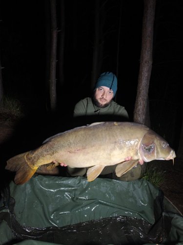 15,1kg, boilies Pikantní perník