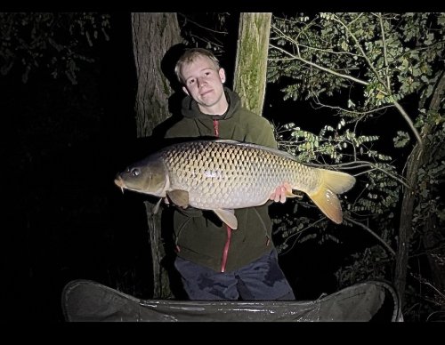 Boilies Pikantní krill