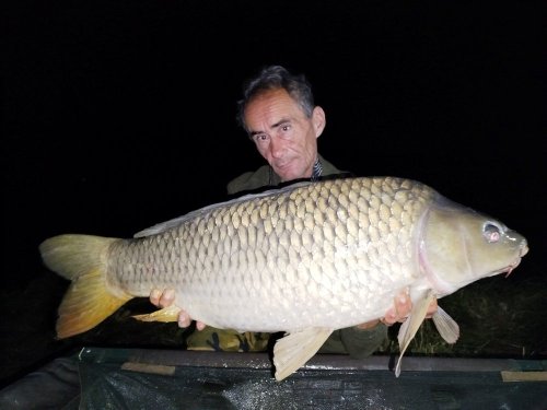 Boilies Pikantní krill