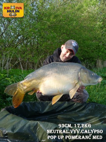 93cm, 17,2kg, boilies calypso neutrálně vyvážené, pop up pomeranč/med, svazová voda
