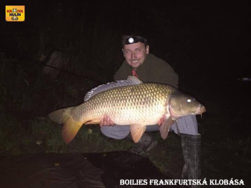 Boilies frankfurtská klobása