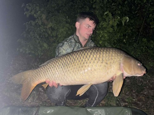 Boilies Pikantní krill