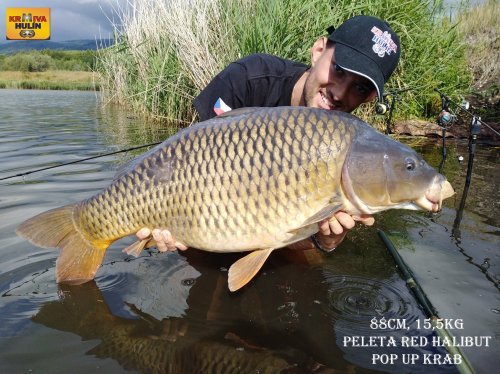 88cm, 15,5kg, peleta red halibut krev, pop up krab