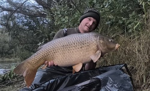 Boilies Calypso v dipu