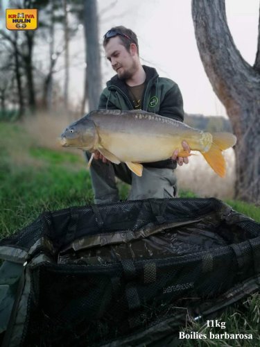11kg, boilies barbarosa