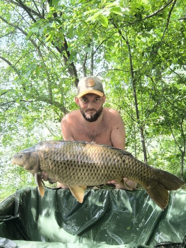 11kg, boilies Pikantní perník