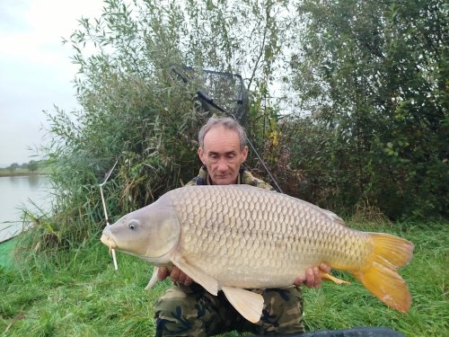 Boilies Mefisto