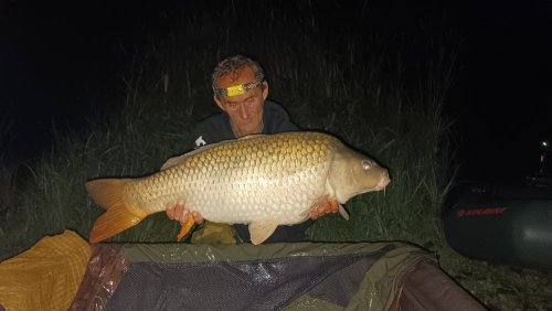 Boilies Pomeranč a chilli