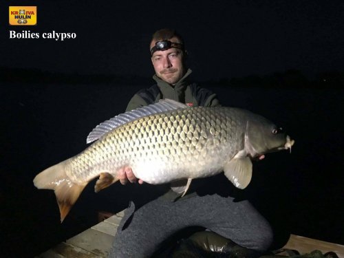 Boilies calypso