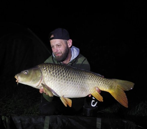 Boilies Pikantní perník