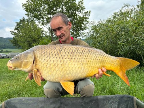 Boilies Pikantní krill