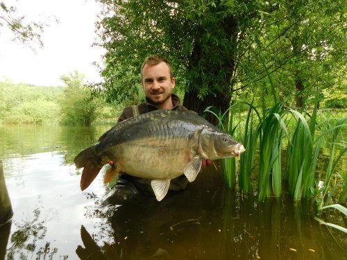 Boilies Krill a oliheň