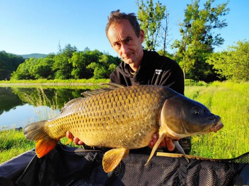 Boilies Pikantní krill