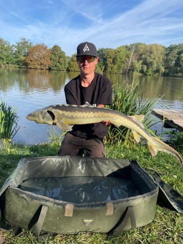 Peleta Black halibut krev + booster Calypso