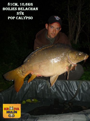 81cm, 10,6kg, boilies Krill/Oliheň, svazová voda