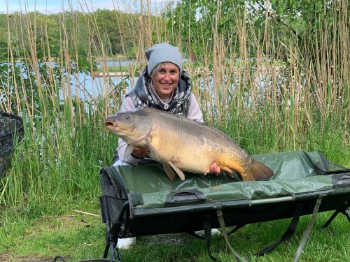 Boilies Mefisto