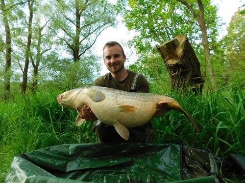 Boilies Pikantní jahoda