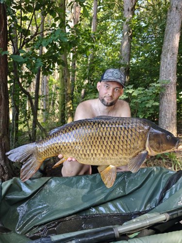 Boilies Pikantní perník