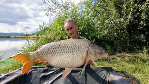 Boilies Švestka a Česnek