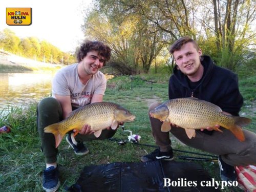 Boilies calypso, řeka Váh.