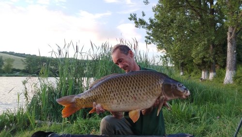 Boilies Pikantní perník