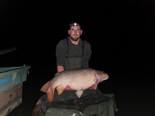 24,55kg, Boilies White scopex