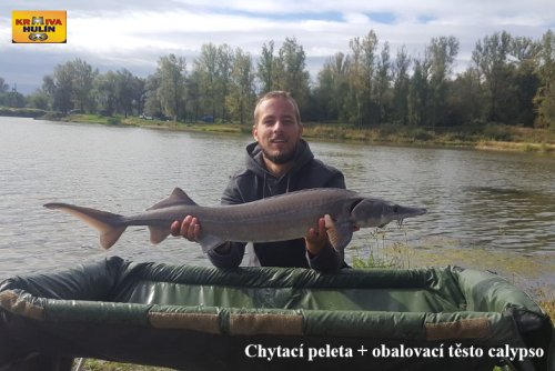 Chytací peleta calypso + obalovací těsto