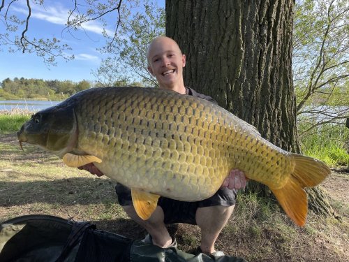Boilies Pikantní krill, pop up Bílý pepř